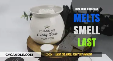 Unveiling the Longevity of Wax Melt Aromas: A Comprehensive Guide