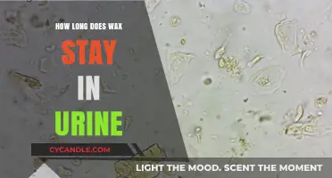 Detecting Wax in Urine: Duration and Factors Explained