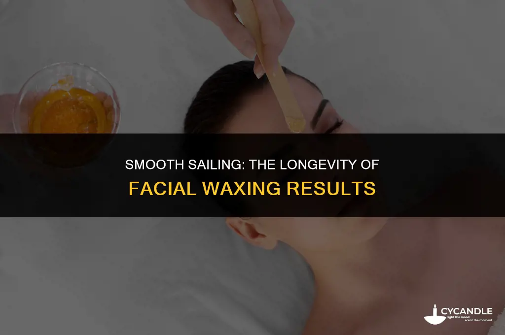 how long does waxing last on face