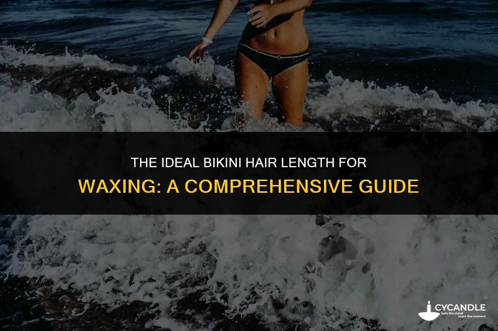 how long should bikini hair be to wax