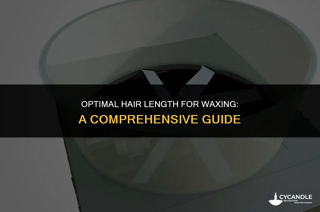 how long should i grow my hair before getting waxed