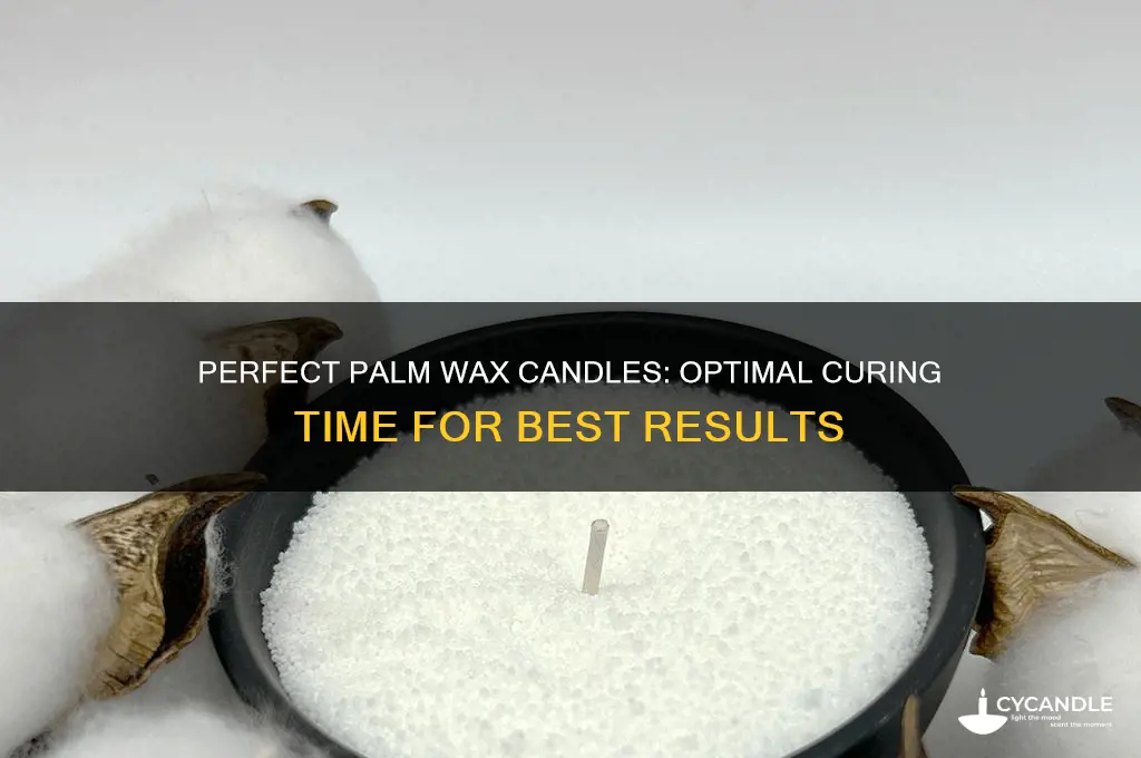 how long should i let palm wax candls cure