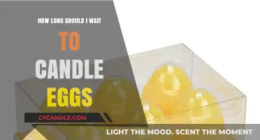 Candling Eggs: How Long Should You Wait?