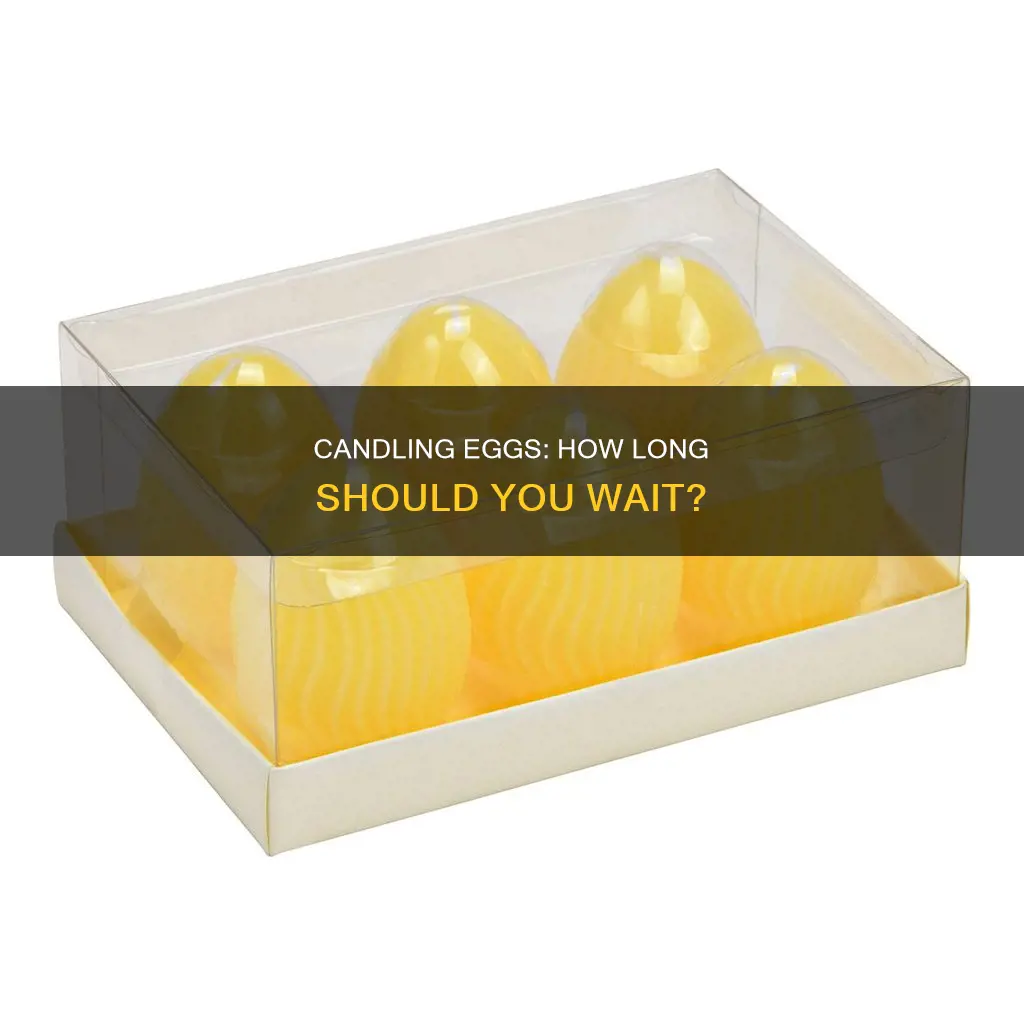 how long should i wait to candle eggs