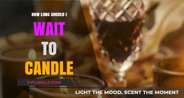 Candling Eggs: How Long Should You Wait?