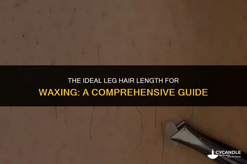 how long should my leg hair be to wax