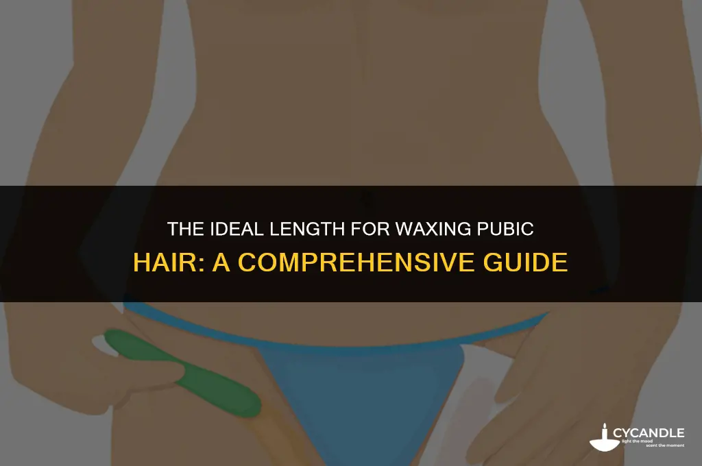 how long should pubic hair be to wax