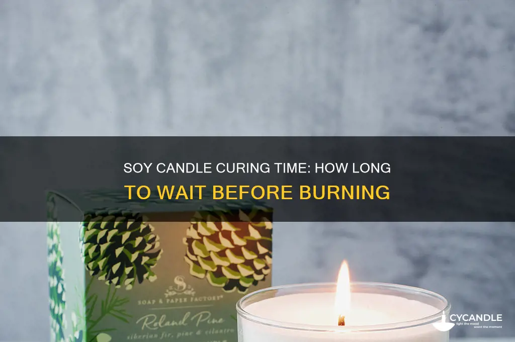 how long should soy candles cure before burning