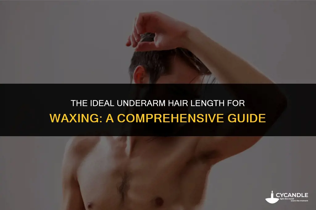 how long should underarm hair be to wax