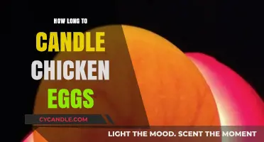 Candling Chicken Eggs: How Long Should You Do It?