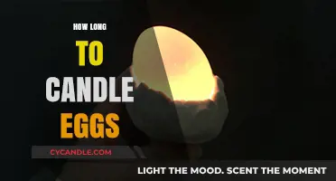 Incubation Timing: The Art of Candling Eggs