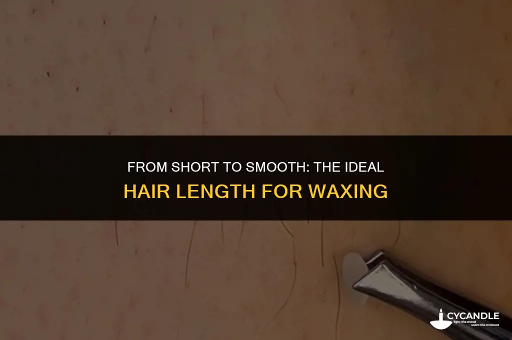 how long to grow hair before waxing
