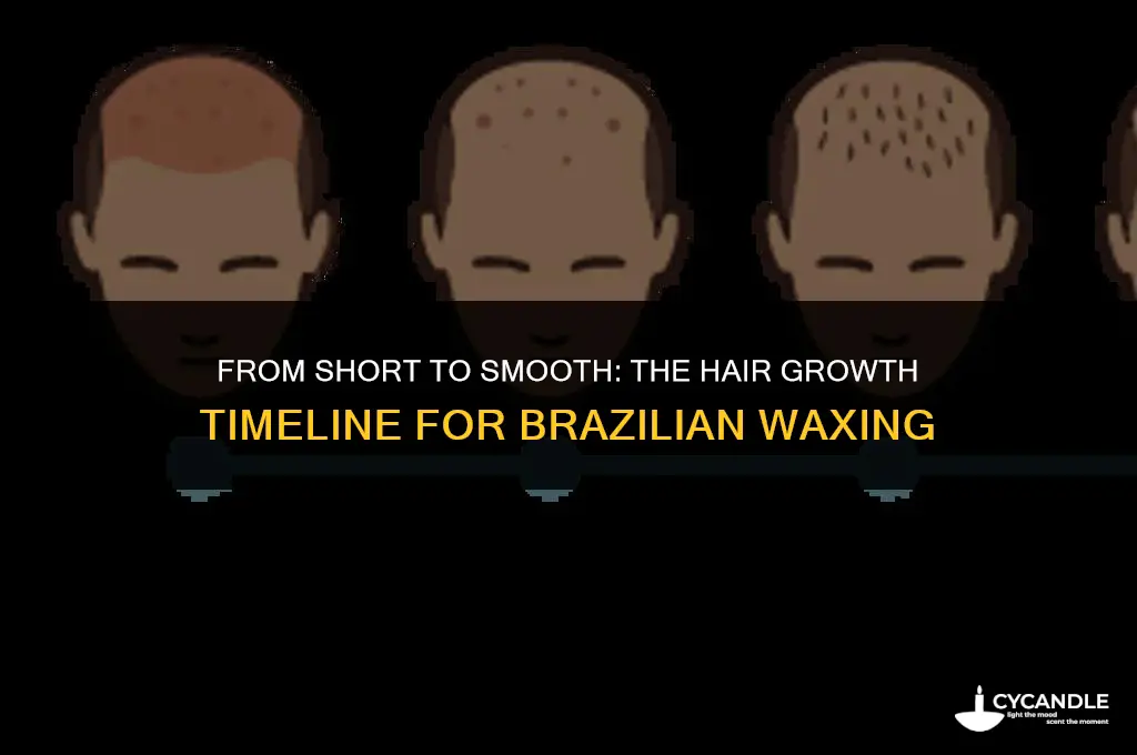 how long to grow hair for brazilian wax
