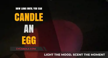 Candling Eggs: Timing and Techniques for Successful Embryo Visibility
