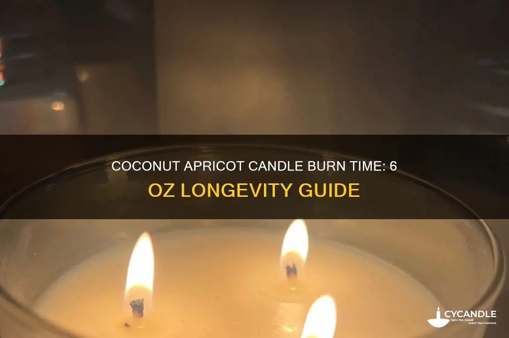 how long will a 6 oz coconut apricot candle burn