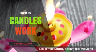 Unveiling the Magic: How Lotus Candles Create Mesmerizing Blooms