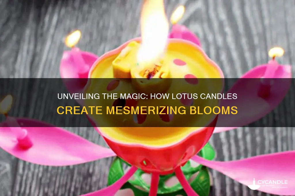 how lotus candles work