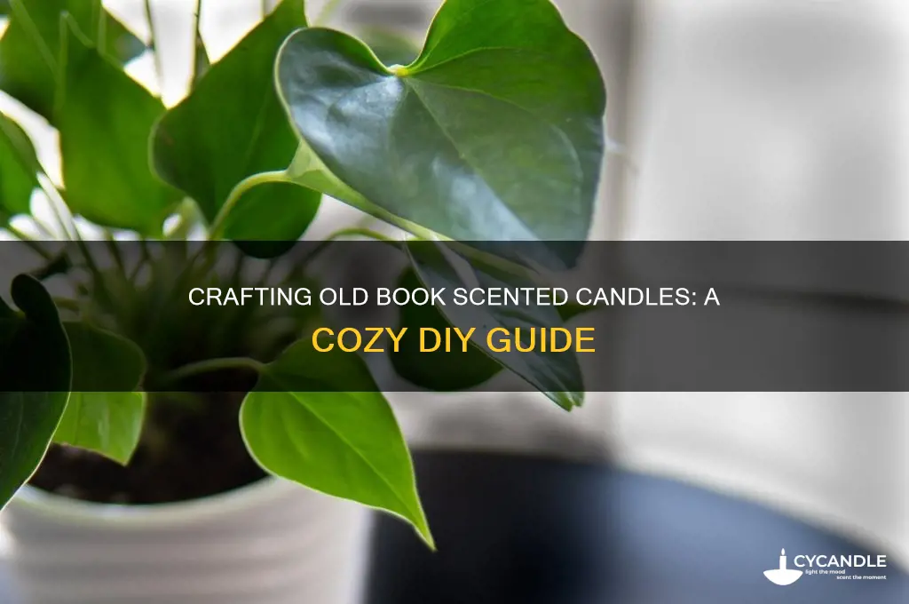 how make old book scented candles