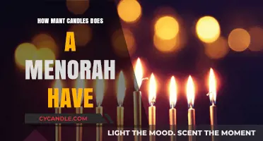 The Menorah: A Symbol of Light and Tradition