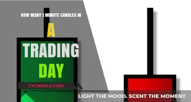 Exploring the Count of 1-Minute Candles in a Trading Session