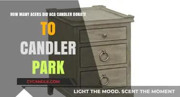 Candler Park's Generous Gift: Acreage Donated by Aca Candler