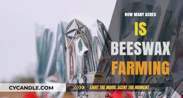 Exploring the Acreage Requirements for Sustainable Beeswax Farming