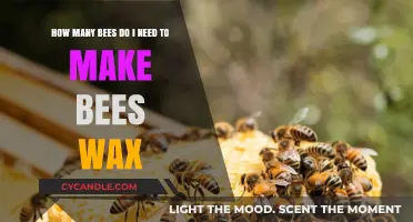 How Many Bees Are Needed to Produce Beeswax?