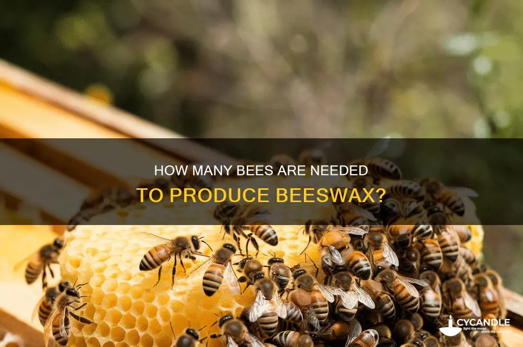 how many bees do i need to make bees wax