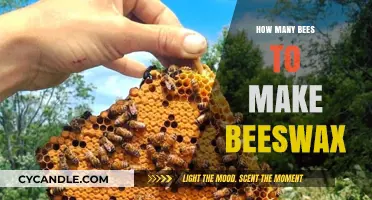 Beeswax Production: Understanding the Bee-to-Wax Ratio for Beekeepers