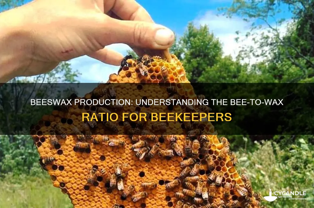 how many bees to make beeswax