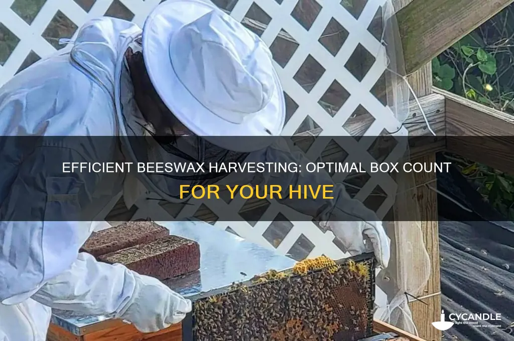 how many boxes to harvest beeswax in a hive