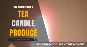 Candle Power: Energy in Small Packages