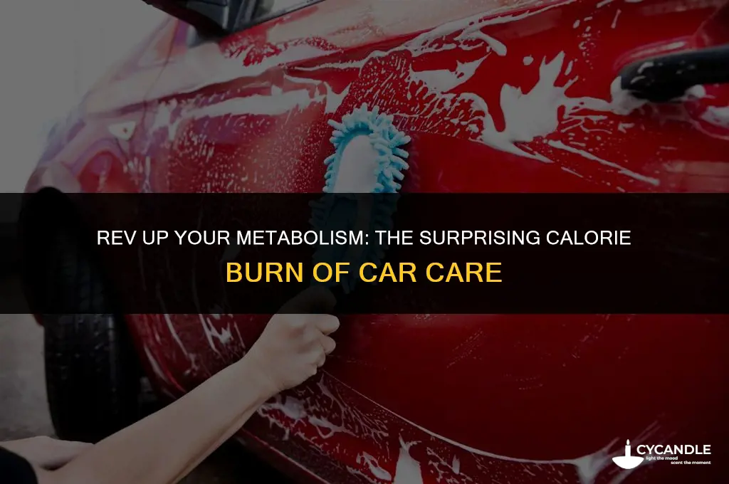 how many calories are burned washing and waxing car