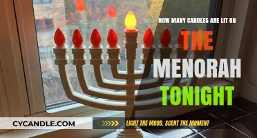 The Menorah's Magical Night: Counting Candles
