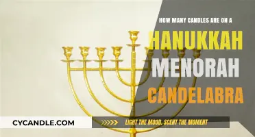 The Hanukkah Menorah: Understanding the Candles' Significance