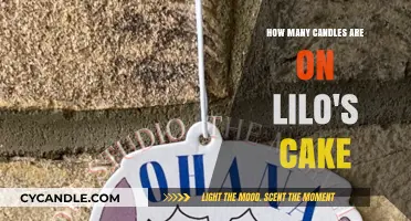 Lilo's Cake: Counting the Candles