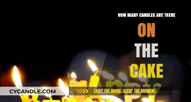Birthday Cake: How Many Candles?