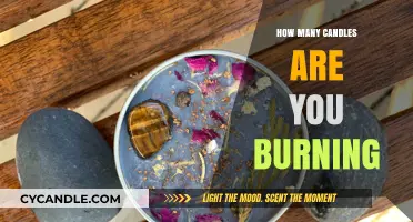 Balancing Your Load: How Many Candles Are You Burning?