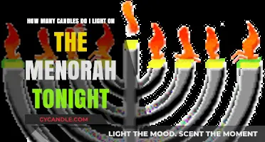 Lighting the Menorah Tonight: How Many Candles Should You Light?