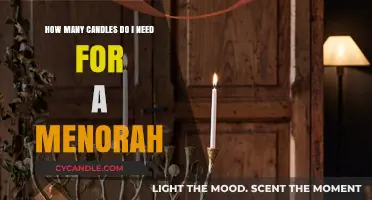 The Perfect Menorah: Choosing the Right Candles