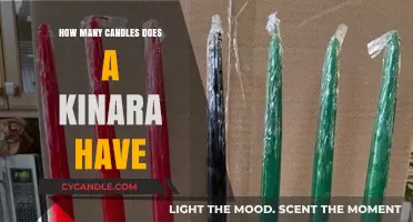 The Kinara: Understanding the Significance of Seven Candles