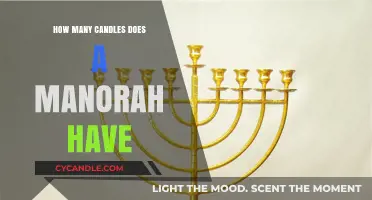 The Hanukkah Menorah: A Symbol of Light and Tradition