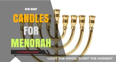 The Hanukkah Menorah: Lighting the Festival of Lights