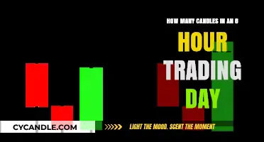 Candles in a Trading Day: How Many?