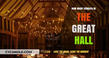Enchanting Beauty of the Great Hall's Candles