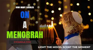 The Hanukkah Menorah: Understanding the Number of Candles
