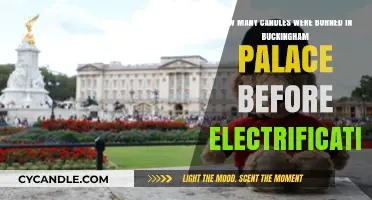 Buckingham Palace's Pre-Electricity Candle Consumption: A Historical Insight