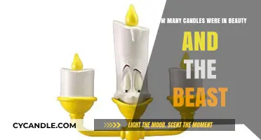 Enchanting Beauty and the Beast: Captivating Candlelit Moments