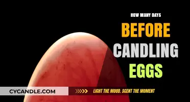 The Perfect Timing for Candling Eggs