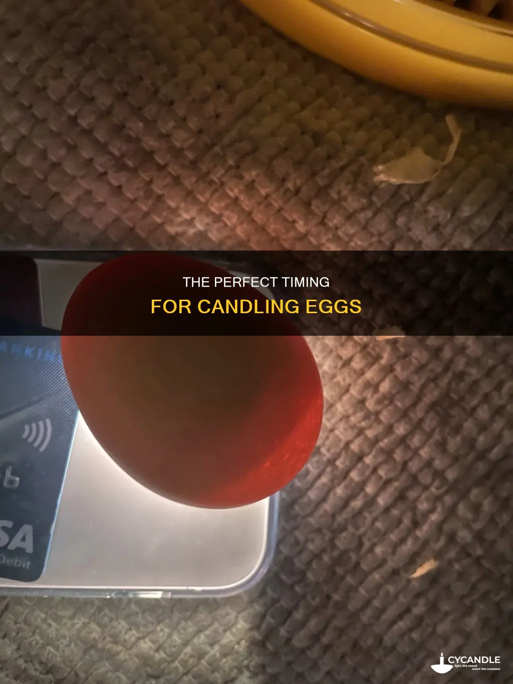 how many days before candling eggs